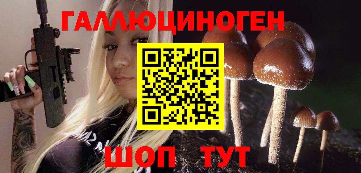 Псилоцибиновые грибы мицелий  Вход с VPN  купить  цена  Егорьевск 